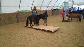 Pony-Agility (a)