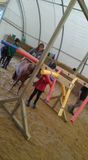 Pony-Agility (d)