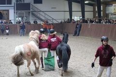 Ponyliga 2017-18 (c)