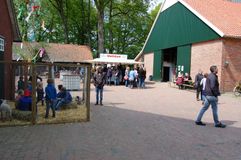 Tag der offenen Stalltür 2019 (d)