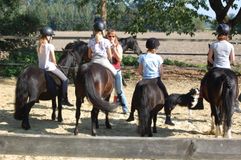 Training Ponyspiele 2019 (a)