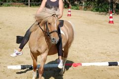 Training Ponyspiele 2019 (b)