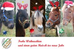 Weinachtsgrüße 2020