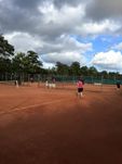 tennis 3