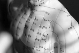 Meridianen torso