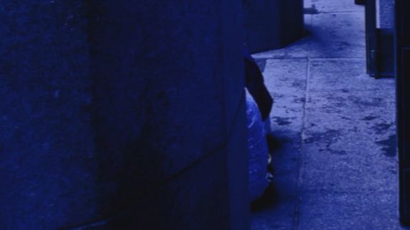 Video still from Did You See That Bird by Bo G Svensson
