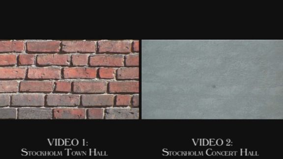Video still from Did You See That Bird by Bo G Svensson