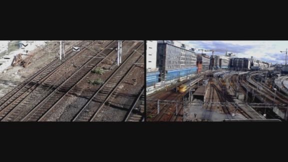 Video still from Did You See That Bird by Bo G Svensson