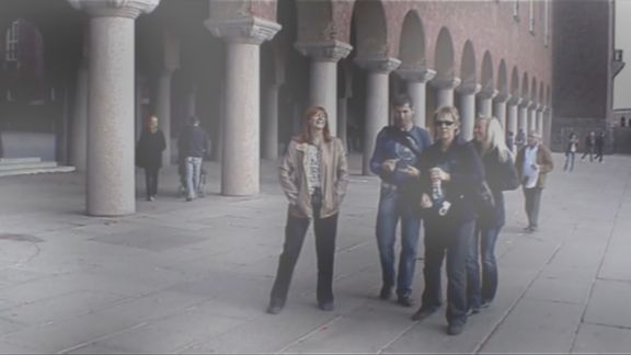 Video still from Did You See That Bird by Bo G Svensson