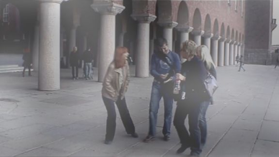 Video still from Did You See That Bird by Bo G Svensson