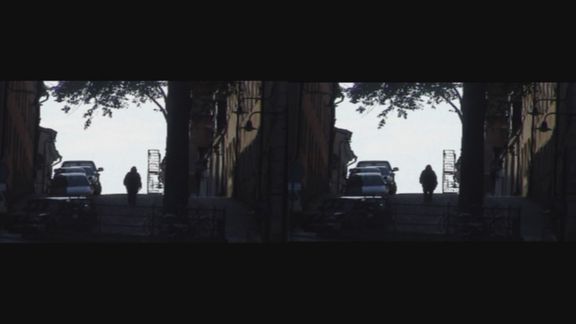 Video still from Did You See That Bird by Bo G Svensson