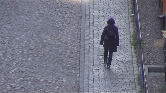 Video still from Did You See That Bird by Bo G Svensson