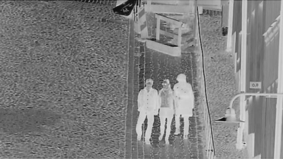 Video still from Did You See That Bird by Bo G Svensson