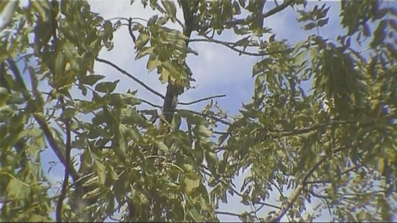 Video still from Embraced by Time by Bo G Svensson