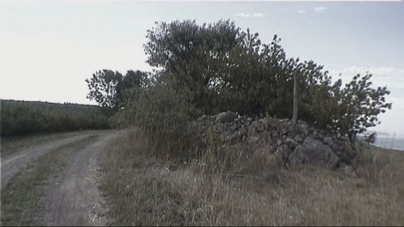 Video still from Embraced by Time by Bo G Svensson