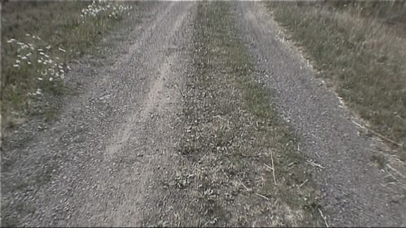 Video still from Embraced by Time by Bo G Svensson