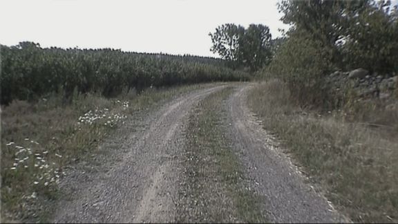 Video still from Embraced by Time by Bo G Svensson