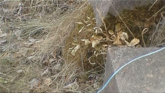 Video still from Embraced by Time by Bo G Svensson