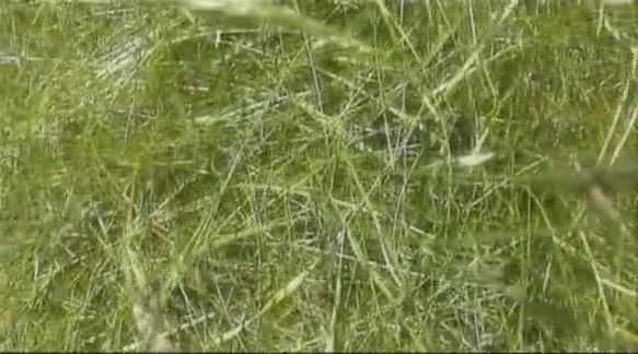 Video still from Falling by Bo G Svensson