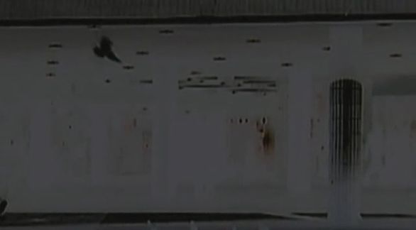 Video still from Man ? Nature by Bo G Svensson