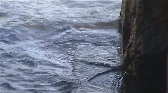 Video still from Man ? Nature by Bo G Svensson