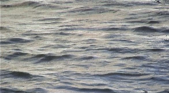 Video still from Man ? Nature by Bo G Svensson