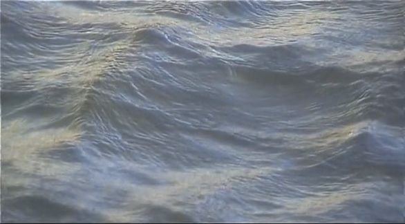 Video still from Man ? Nature by Bo G Svensson