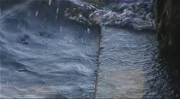 Video still from Man ? Nature by Bo G Svensson