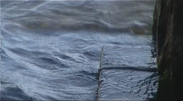 Video still from Man ? Nature by Bo G Svensson