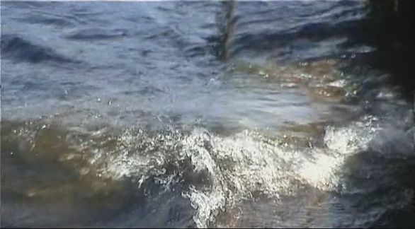 Video still from Man ? Nature by Bo G Svensson