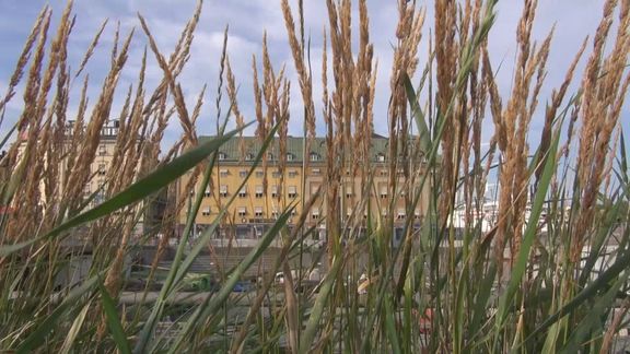 Video still from Metaphors by Bo G Svensson