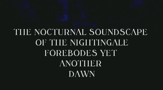 Video still from The Nocturnal Soundscape of the Nightingale Forebodes Yet Another Dawn