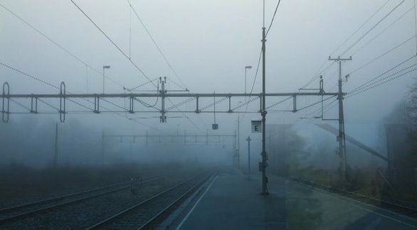 Video still fromThe Nocturnal Soundscape... by Bo G Svensson