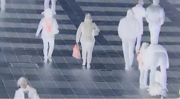 Video still fromThe Nocturnal Soundscape... by Bo G Svensson