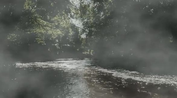 Video still fromThe Nocturnal Soundscape... by Bo G Svensson