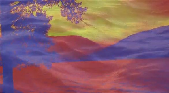 Video still fromThe Nocturnal Soundscape... by Bo G Svensson