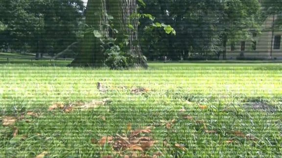 Video still from Pickup | Tracks Teaser 2 by Bo G Svensson