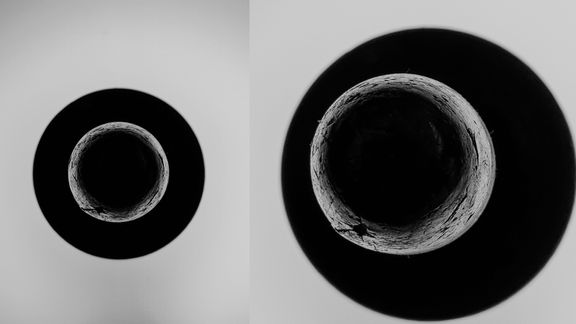 Video still from Tools by Bo G Svensson