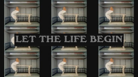 Video still from Nature Through Urban Life by Bo G Svensson