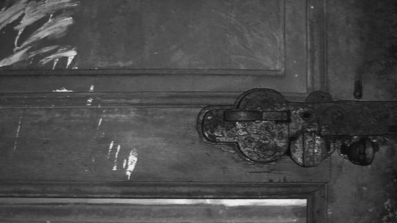 Video still from Nature Through Urban Life by Bo G Svensson