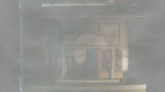 Video still from Nature Through Urban Life by Bo G Svensson