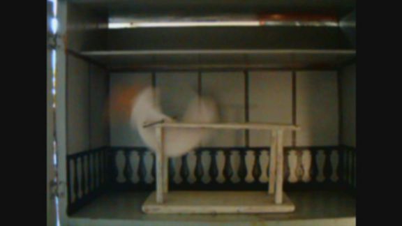 Video still from Nature Through Urban Life by Bo G Svensson