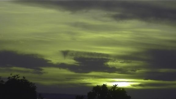 Video still from Nature Through Urban Life by Bo G Svensson