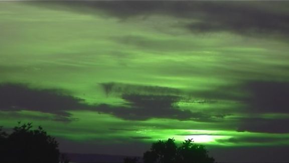 Video still from Nature Through Urban Life by Bo G Svensson