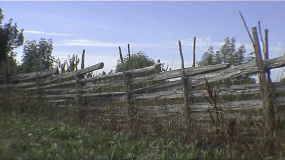 Video still from Nature Through Urban Life by Bo G Svensson