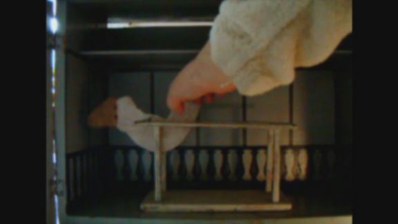 Video still from Nature Through Urban Life by Bo G Svensson