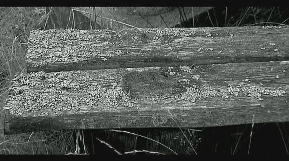 Video still from Impercebtibly Shifts Everyday... by Bo G Svensson