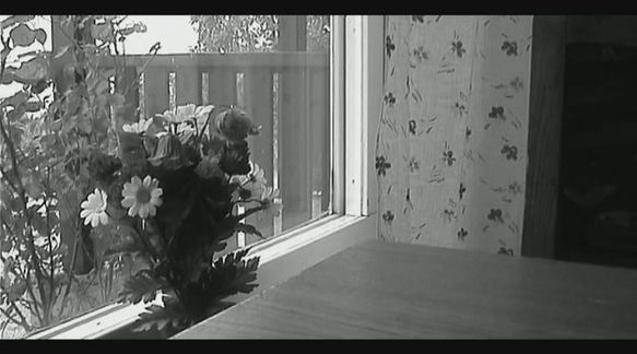 Video still from Impercebtibly Shifts Everyday... by Bo G Svensson