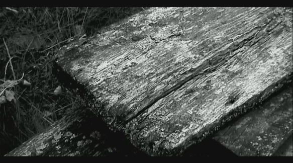Video still from Impercebtibly Shifts Everyday... by Bo G Svensson