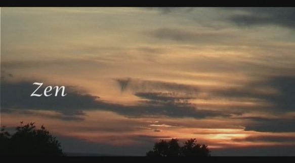 Video still from Impercebtibly Shifts Everyday... by Bo G Svensson